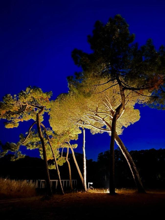 Les Salines Boyardville - Appart'Hotel Saint-Pierre-d'Oleron Kültér fotó