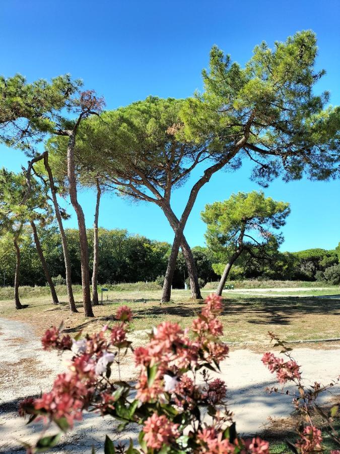 Les Salines Boyardville - Appart'Hotel Saint-Pierre-d'Oleron Kültér fotó