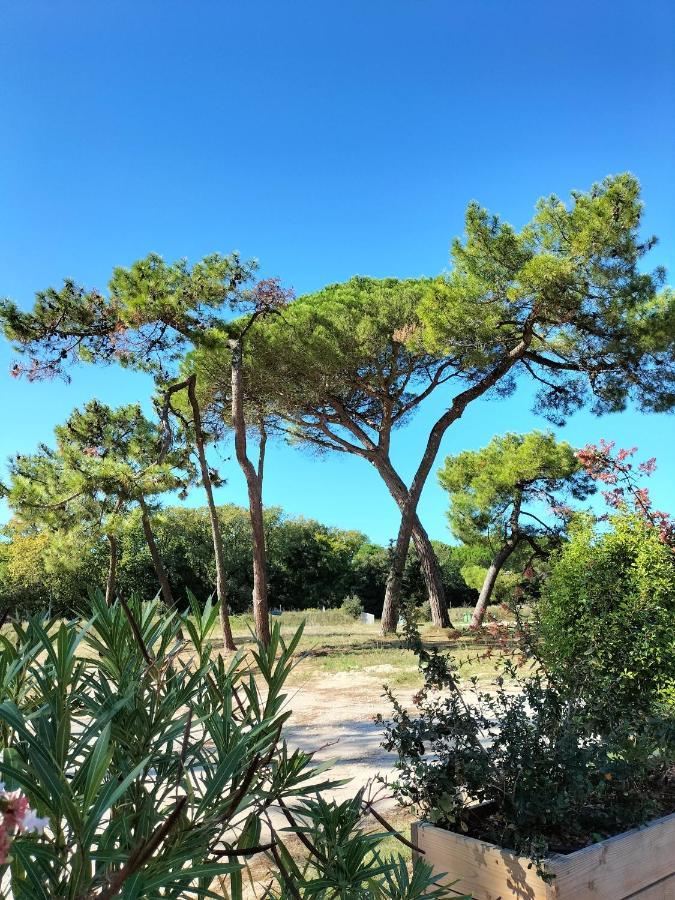 Les Salines Boyardville - Appart'Hotel Saint-Pierre-d'Oleron Kültér fotó